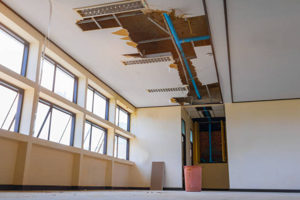 Best Water damage restoration near me  in Edison, GA
