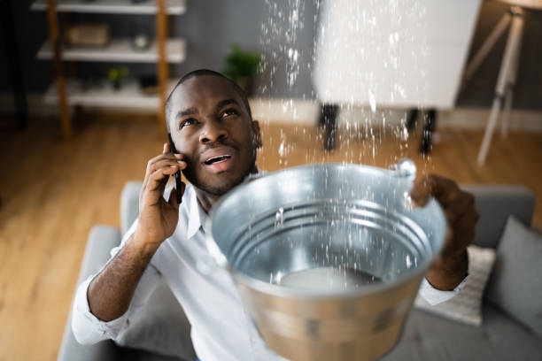 Best Flood damage cleanup  in Edison, GA