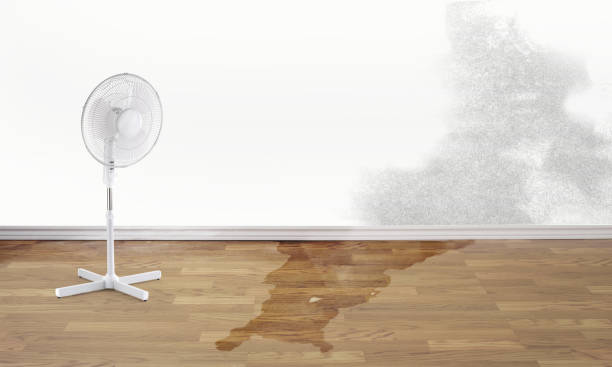 Water damage restoration mold remediation in GA