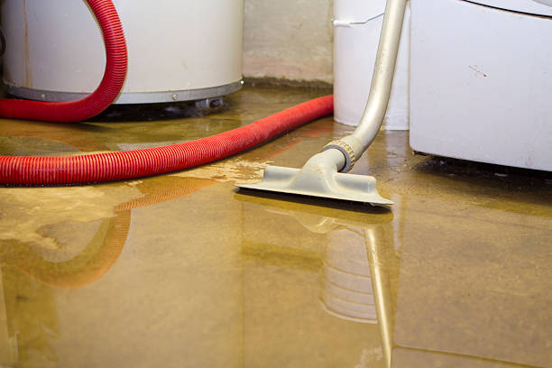 Best Fire Damage Restoration  in Edison, GA