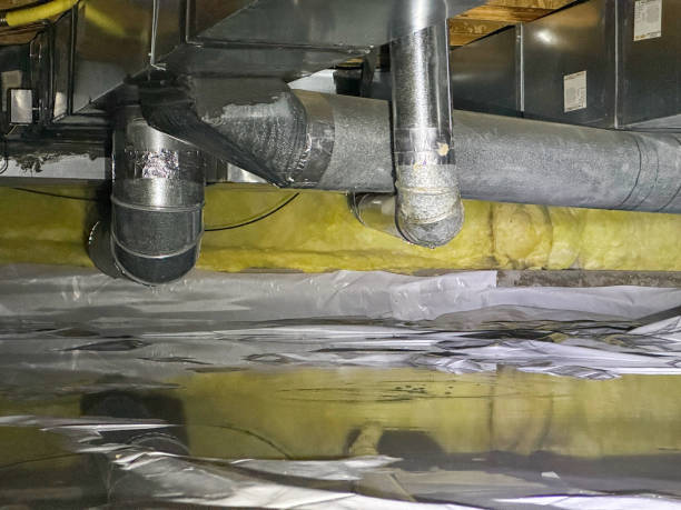 Best Professional water damage repair  in Edison, GA